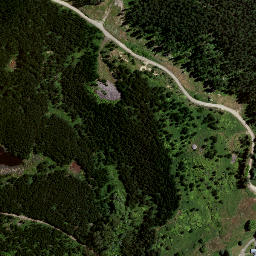 Satellite imagery of 8837, NZ