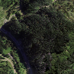 Satellite imagery of 8937, NZ