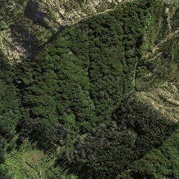 Satellite imagery of 8937, NZ
