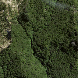 Satellite imagery of 8937, NZ