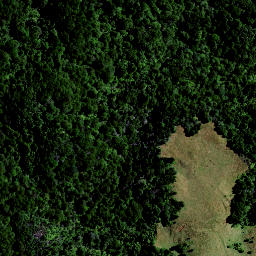 Satellite imagery of SUGAR LOAF, NZ
