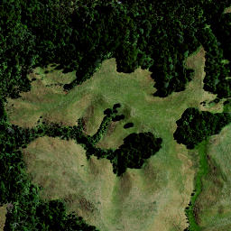 Satellite imagery of SUGAR LOAF, NZ