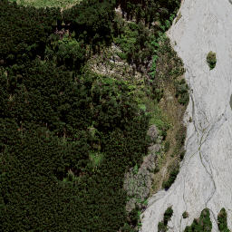 Satellite imagery of 8839, NZ