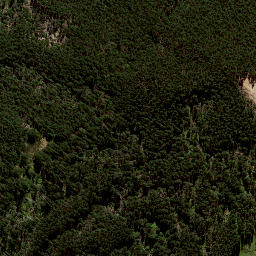 Satellite imagery of 8839, NZ