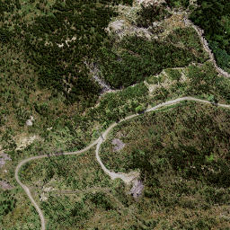 Satellite imagery of 8837, NZ