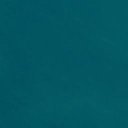 Satellite imagery of Marau Point, NZ