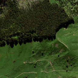 Satellite imagery of 131 WHETURAU, NZ
