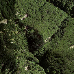 Satellite imagery of 169 HIKURANGI, NZ