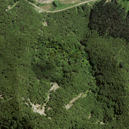 Satellite imagery of 169 HIKURANGI, NZ