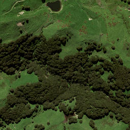 Satellite imagery of 131 WHETURAU, NZ