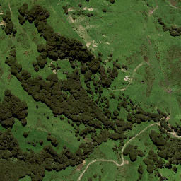Satellite imagery of 131 WHETURAU, NZ