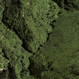 Satellite imagery of 169 HIKURANGI, NZ