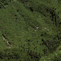 Satellite imagery of 169 HIKURANGI, NZ