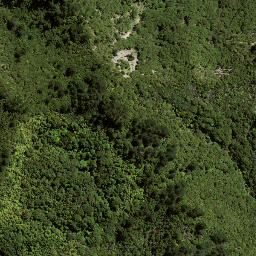 Satellite imagery of 169 HIKURANGI, NZ