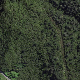 Satellite imagery of 8931, NZ