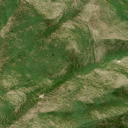 Satellite imagery of M3 NO 2, NZ