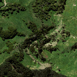 Satellite imagery of 8912, NZ