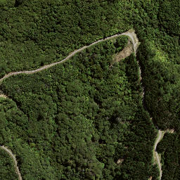Satellite imagery of 169 HIKURANGI, NZ