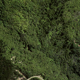 Satellite imagery of 169 HIKURANGI, NZ