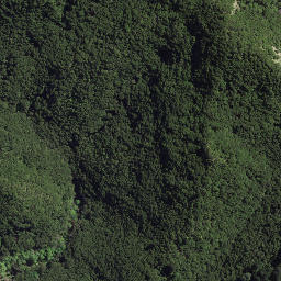 Satellite imagery of 8931, NZ
