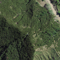 Satellite imagery of 8931, NZ