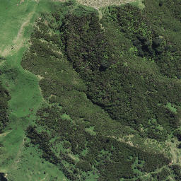 Satellite imagery of 172 MARAU, NZ