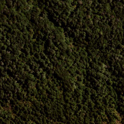 Satellite imagery of 141 MAUNGAHAUMI, NZ