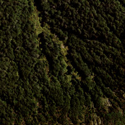 Satellite imagery of 141 MAUNGAHAUMI, NZ