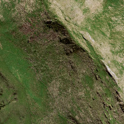 Satellite imagery of M3 NO 2, NZ