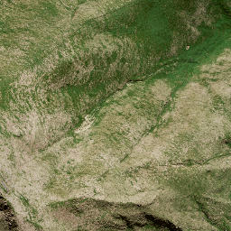 Satellite imagery of M3 NO 2, NZ
