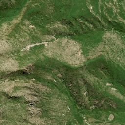 Satellite imagery of M3 NO 2, NZ