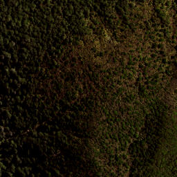 Satellite imagery of 141 MAUNGAHAUMI, NZ