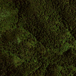 Satellite imagery of 141 MAUNGAHAUMI, NZ
