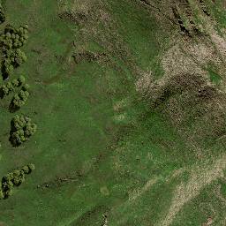 Satellite imagery of M3 NO 2, NZ