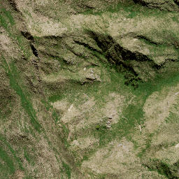 Satellite imagery of M3 NO 2, NZ