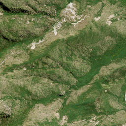Satellite imagery of M3 NO 2, NZ