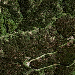 Satellite imagery of 168 PARAHEKA, NZ