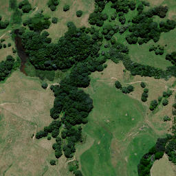 Satellite imagery of 8314, NZ