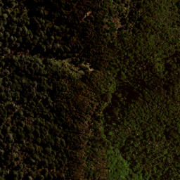 Satellite imagery of 141 MAUNGAHAUMI, NZ