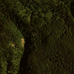 Satellite imagery of 141 MAUNGAHAUMI, NZ