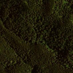Satellite imagery of 141 MAUNGAHAUMI, NZ