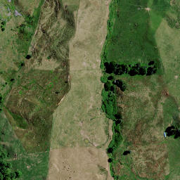 Satellite imagery of 8313, NZ