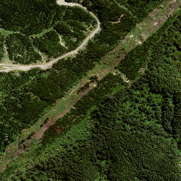 Satellite imagery of 168 PARAHEKA, NZ