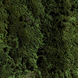 Satellite imagery of 168 PARAHEKA, NZ