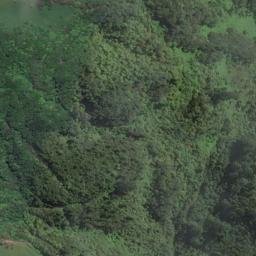 Satellite imagery of 1548 MOETAHANGA, NZ