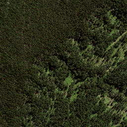 Satellite imagery of 148, NZ