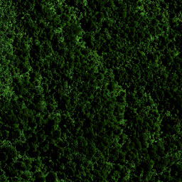 Satellite imagery of 8231, NZ