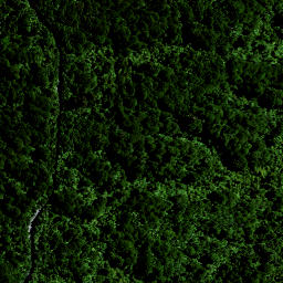Satellite imagery of 8231, NZ