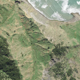 Satellite imagery of Paerau Point, NZ