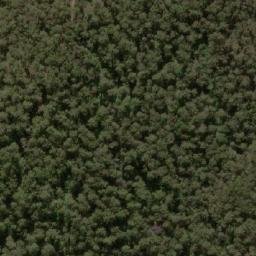 Satellite imagery of Toms Cap, AU